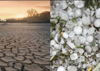 Sardegna, eventi atmosferici eccezionali oramai diventati routine: “Serve un fondo permanente per i ristori agricoli“