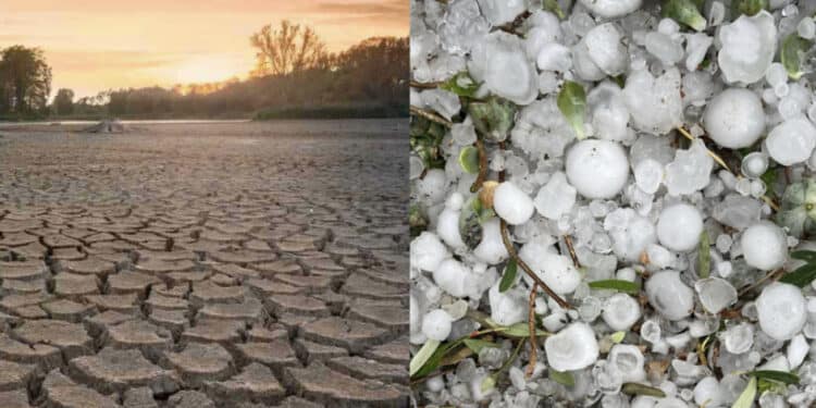 Sardegna, eventi atmosferici eccezionali oramai diventati routine: “Serve un fondo permanente per i ristori agricoli“