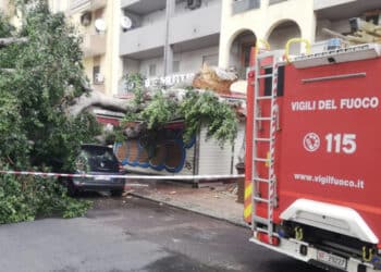 Cagliari, crolla un albero sull’edicola di Sant’Avendrace: “L’incuria ha un costo e spesso lo pagano i cittadini”
