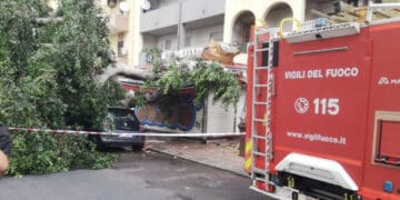 Cagliari, crolla un albero sull’edicola di Sant’Avendrace: “L’incuria ha un costo e spesso lo pagano i cittadini”