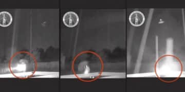 Sotto la pioggia con l’ombrello di metallo, il meteorologo Lorenzo Sestini rischia di essere colpito da un fulmine mentre cerca il gatto