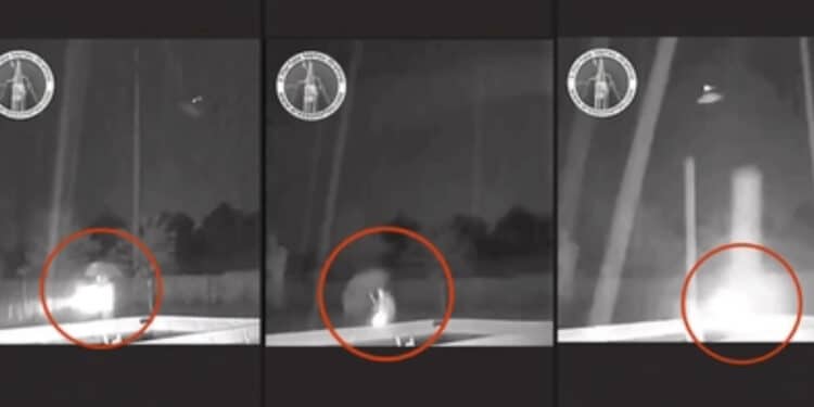 Sotto la pioggia con l’ombrello di metallo, il meteorologo Lorenzo Sestini rischia di essere colpito da un fulmine mentre cerca il gatto