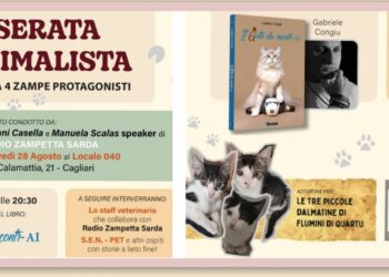 Serata animalista giovedì 28 agosto con Radio Zampetta Sarda