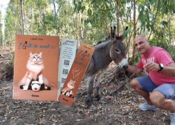 La bellissima storia di Alba, salvata dal macello grazie a un libro e a Radio Zampetta Sarda