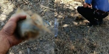 San Gavino Monreale, trovati inneschi incendiari nelle campagne