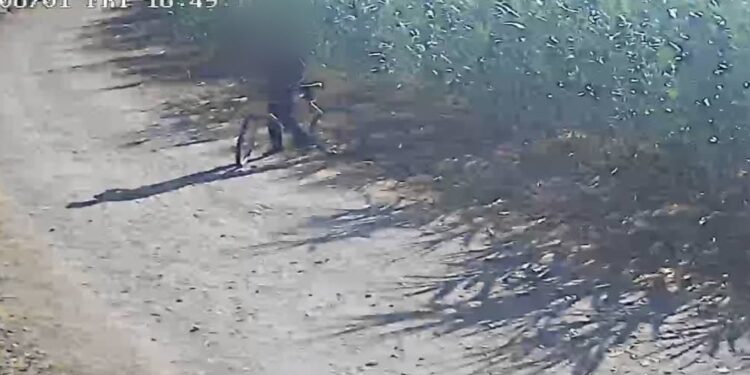 Furti e danneggiamenti a Monastir, la minoranza preoccupata sul caso migranti: “Situazioni che minano la civile convivenza”