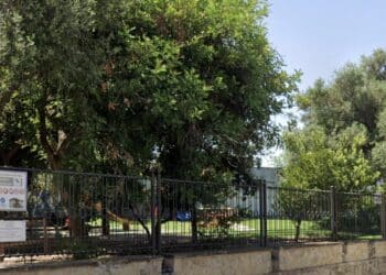 Settimo San Pietro, troppi atti vandalici e il sindaco chiude il parco: “Compromesse le attrezzature e gli arredi”