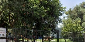 Settimo San Pietro, troppi atti vandalici e il sindaco chiude il parco: “Compromesse le attrezzature e gli arredi”