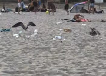 Cagliari, dopo il mare una distesa di rifiuti: cartacce e bottiglie sulla sabbia