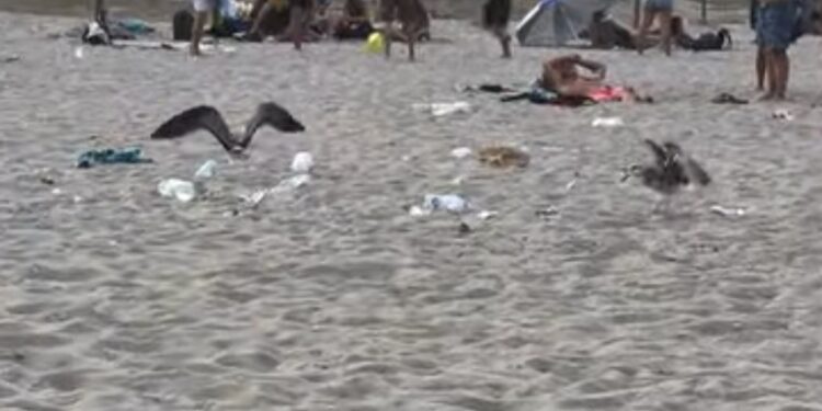 Cagliari, dopo il mare una distesa di rifiuti: cartacce e bottiglie sulla sabbia