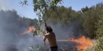 Assemini, gettone di presenza per il rimboschimento delle aree devastate dagli incendi
