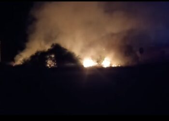 Selargius, grosso incendio alla periferia della città devasta una porzione di campagna