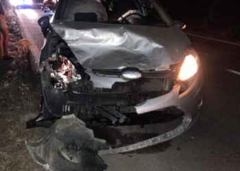 Allarme cervi affamati lungo la Sulcitana: “Chi ha in gestione il parco li sta ammazzando”