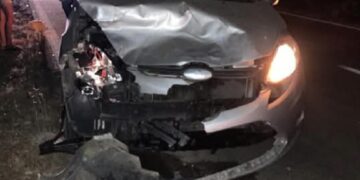 Allarme cervi affamati lungo la Sulcitana: “Chi ha in gestione il parco li sta ammazzando”