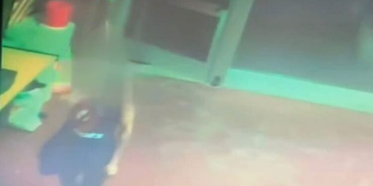 Selargius, le viene regalato del pane ma prima aveva rubato un trapano: “Quanto ci hai guadagnato con quello che hai preso?”