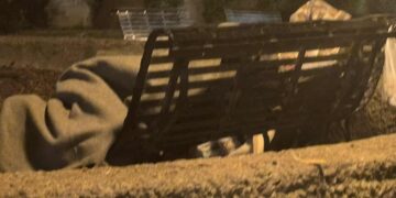 Degrado a Cagliari: dormono sulle panchine a pochi metri da via Roma e dal Consiglio regionale, nessuno li aiuta