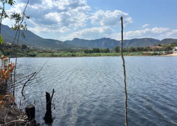 Poggio dei Pini, per ripulire la coda del lago dai detriti serviranno 400 mila euro: “Restituire alla comunità un bene paesaggistico”