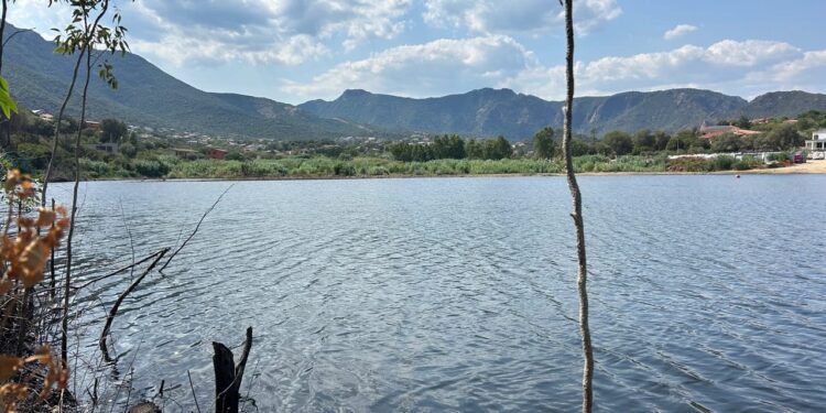 Poggio dei Pini, per ripulire la coda del lago dai detriti serviranno 400 mila euro: “Restituire alla comunità un bene paesaggistico”