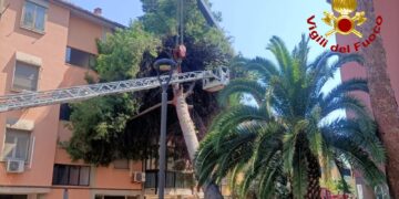 Assemini, cade un albero in via Toscana: lesionata una palazzina