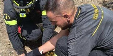 San Sperate, i vigili del fuoco salvano un gattino caduto dentro un vascone: “Miagolava disperatamente”