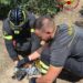 San Sperate, i vigili del fuoco salvano un gattino caduto dentro un vascone: “Miagolava disperatamente”