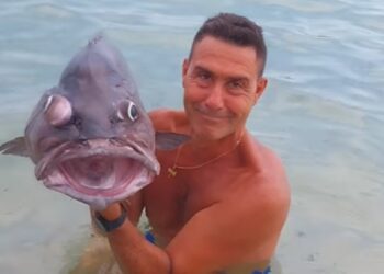 Vannacci a Selargius, il centrosinistra attacca il generale: “Ma io me ne frego, la sinistra ha scarso senso della libertà”