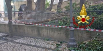 Cagliari, paura nei giardini di Viale Regina Elena: si stacca un grosso ramo da un albero, danneggiata una recinzione
