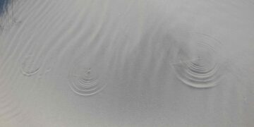 Sabbia delle spiagge sarde, conchiglie e stelle di mare in vendita online: la denuncia degli ambientalisti