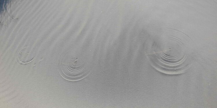 Sabbia delle spiagge sarde, conchiglie e stelle di mare in vendita online: la denuncia degli ambientalisti