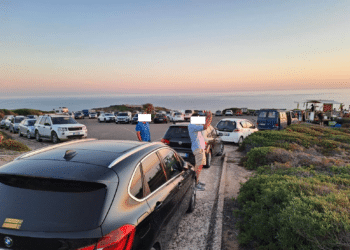 Disturbo dei nidi del falco della regina a Carloforte, la parola passa alla magistratura