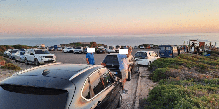 Disturbo dei nidi del falco della regina a Carloforte, la parola passa alla magistratura