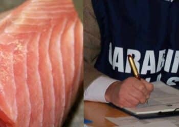 Allarme sicurezza alimentare a Cagliari, Adoc: “Regole HACCP non sono burocrazia ma tutela della salute”