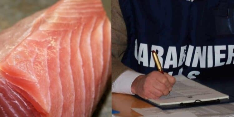 Allarme sicurezza alimentare a Cagliari, Adoc: “Regole HACCP non sono burocrazia ma tutela della salute”