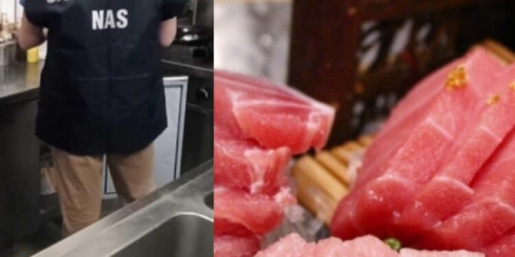 “Pesce conservato male e locali non a norma”: le testimonianze social dopo gli ultimi casi di intossicazione a Cagliari