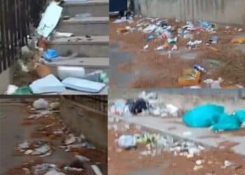 Cagliari, “Cumuli di sporcizia da via Is Mirrionis a via Trentino, blatte e topi ovunque”: l’università nel mirino degli incivili (VIDEO)