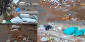 Cagliari, “Cumuli di sporcizia da via Is Mirrionis a via Trentino, blatte e topi ovunque”: l’università nel mirino degli incivili (VIDEO)