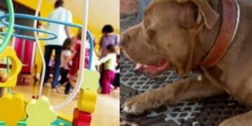 Cagliari, pitbull e bimbi nello stesso cortile: scatta l’allarme in vista del ritorno a scuola dopo l’aggressione