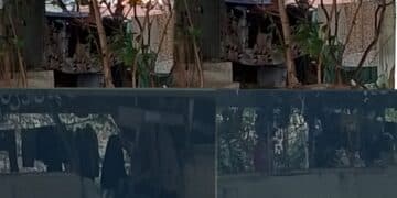 Cagliari, spunta un accampamento sotto il ponte tra viale Ciusa e via dei Carroz: “Rischio incendio e degrado”