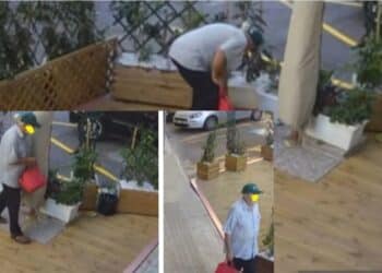 Cagliari, ladri di piantine in azione da Gustum: “Conosciamo la tua identità, riportale al ristorante”