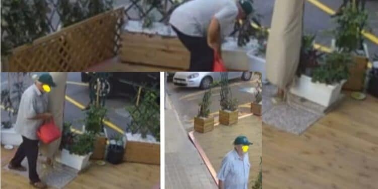 Cagliari, ladri di piantine in azione da Gustum: “Conosciamo la tua identità, riportale al ristorante”