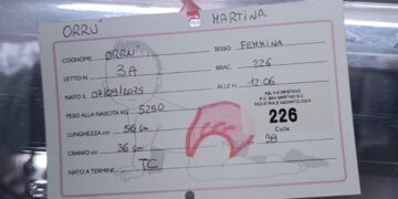 Oristano, bimba dal peso record in Sardegna: è nata Martina, 5 chili e 250 grammi