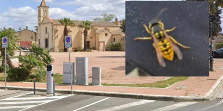 Aggredita da decine di vespe a Decimomannu, donna salvata da un passante