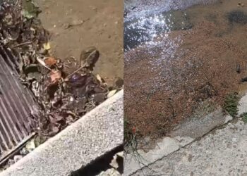 Villaspeciosa, un fiume di acqua in viale Europa e nessuno ancora è intervenuto: protestano i cittadini (VIDEO)