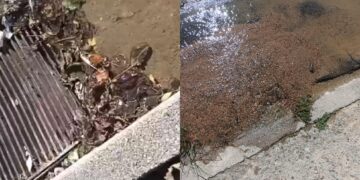 Villaspeciosa, un fiume di acqua in viale Europa e nessuno ancora è intervenuto: protestano i cittadini (VIDEO)