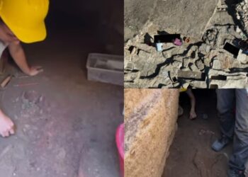 Nuove scoperte archeologiche, Nora non smette di stupire