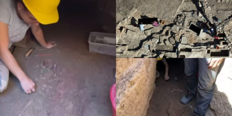 Nuove scoperte archeologiche, Nora non smette di stupire