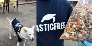 La banda di plastic free sbarca a Monserrato: in missione per ripulire