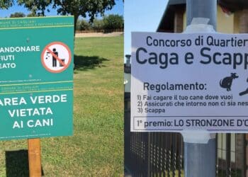 Cagliari, aree verdi vietate ai cani e strade disseminate di escrementi: è polemica