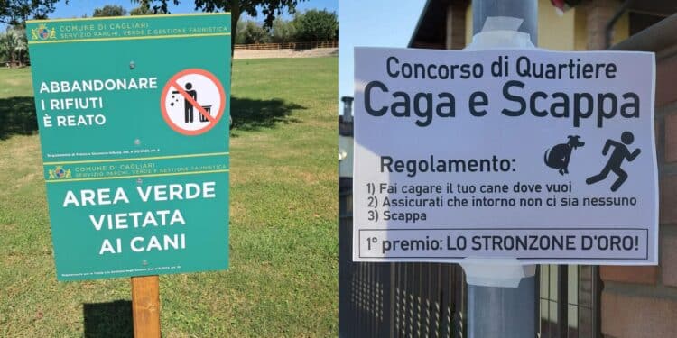 Cagliari, aree verdi vietate ai cani e strade disseminate di escrementi: è polemica