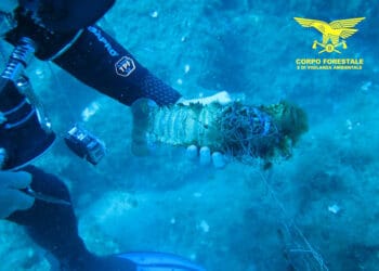 La Forestale sequestra le reti abusive nell’area protetta di Villasimius: intrappolati dentici e cicale